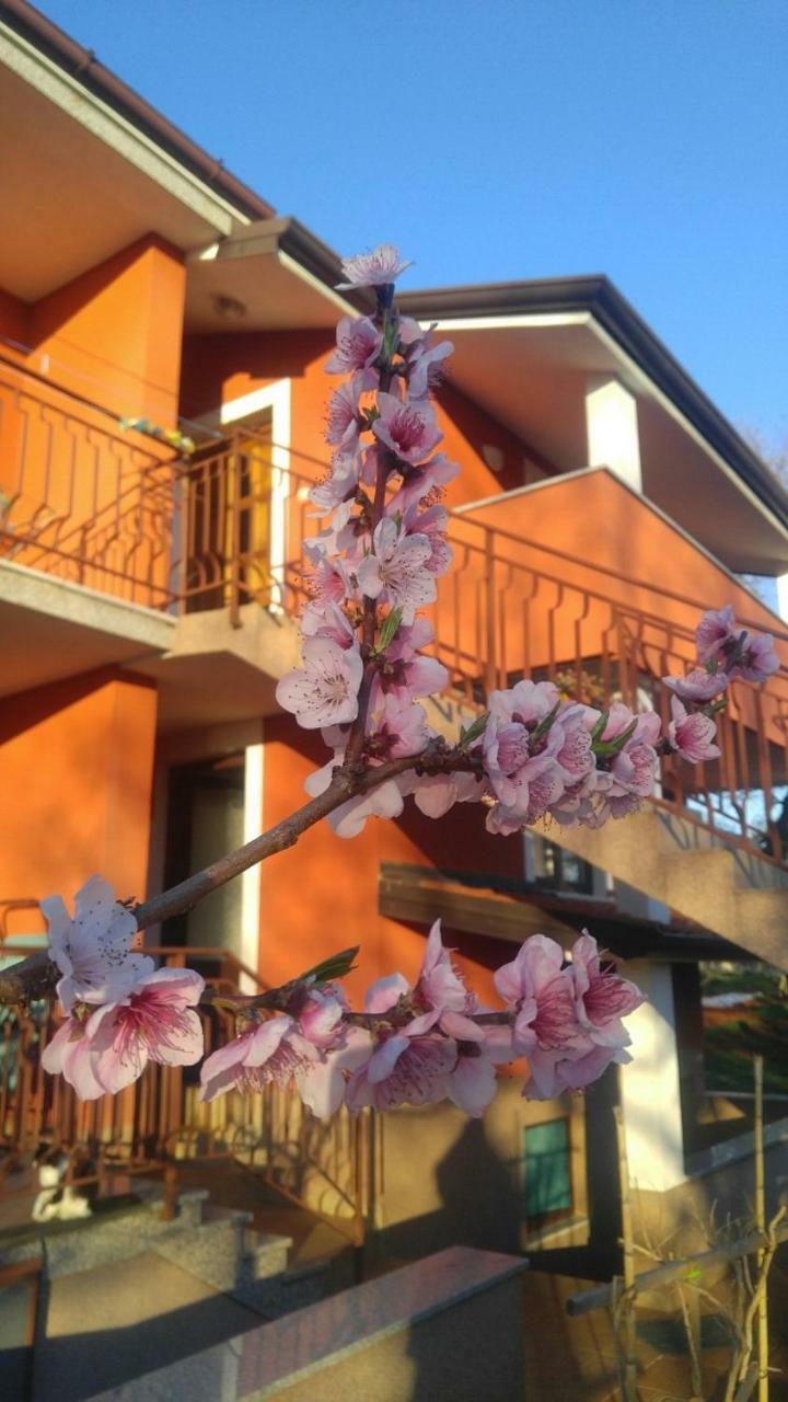 Apartment Zita With 1 Bedroom In Relaxing Surroundings Near Umag Luaran gambar